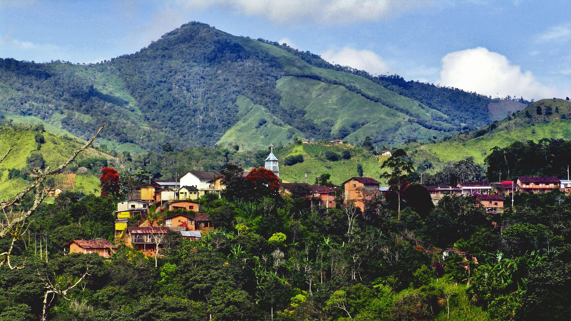 Read more about the article Universidad San Francisco de Quito