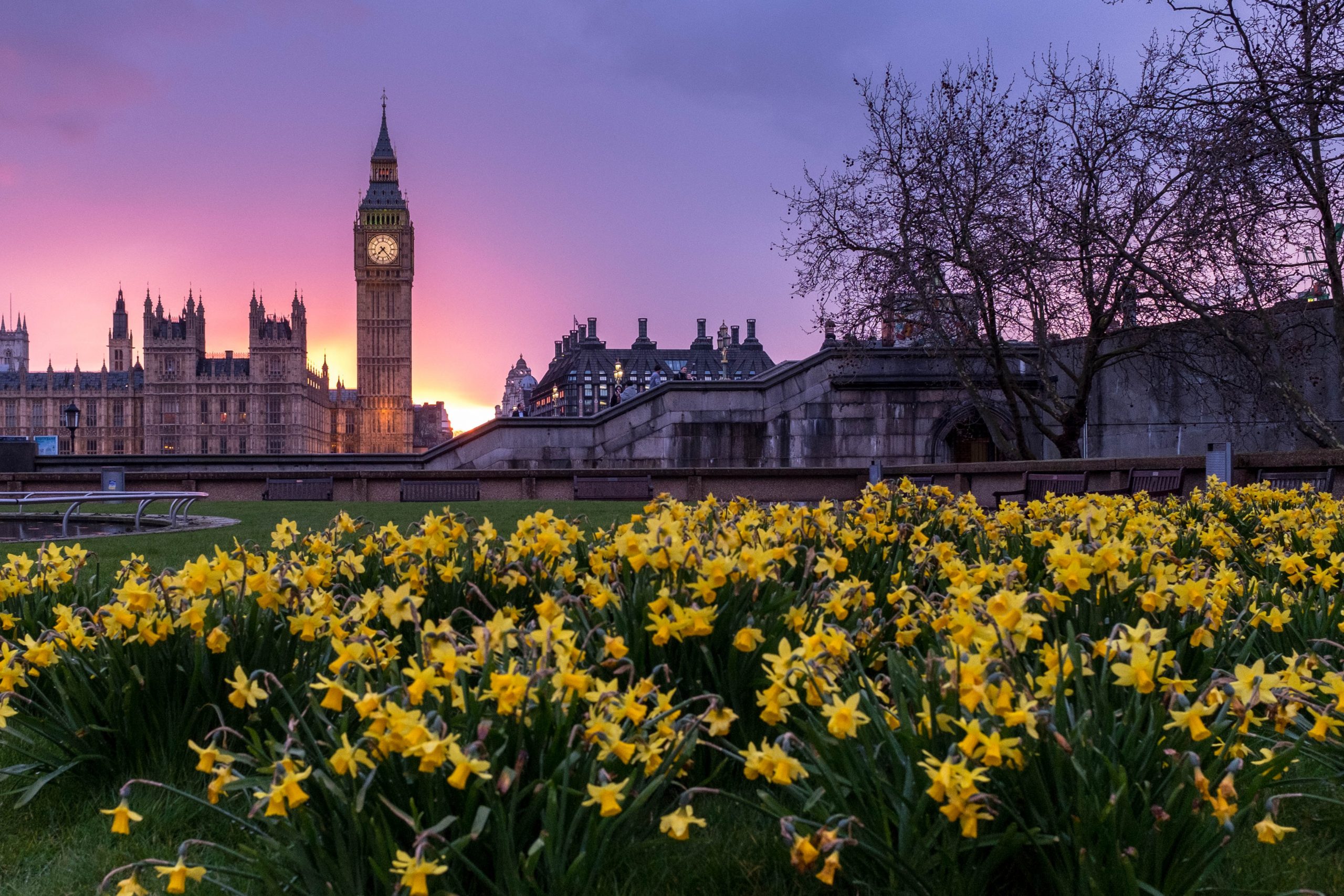 Read more about the article English Literature in London