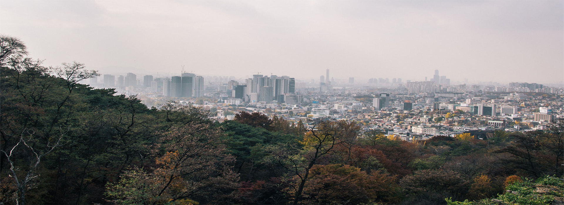 Read more about the article Yonsei University