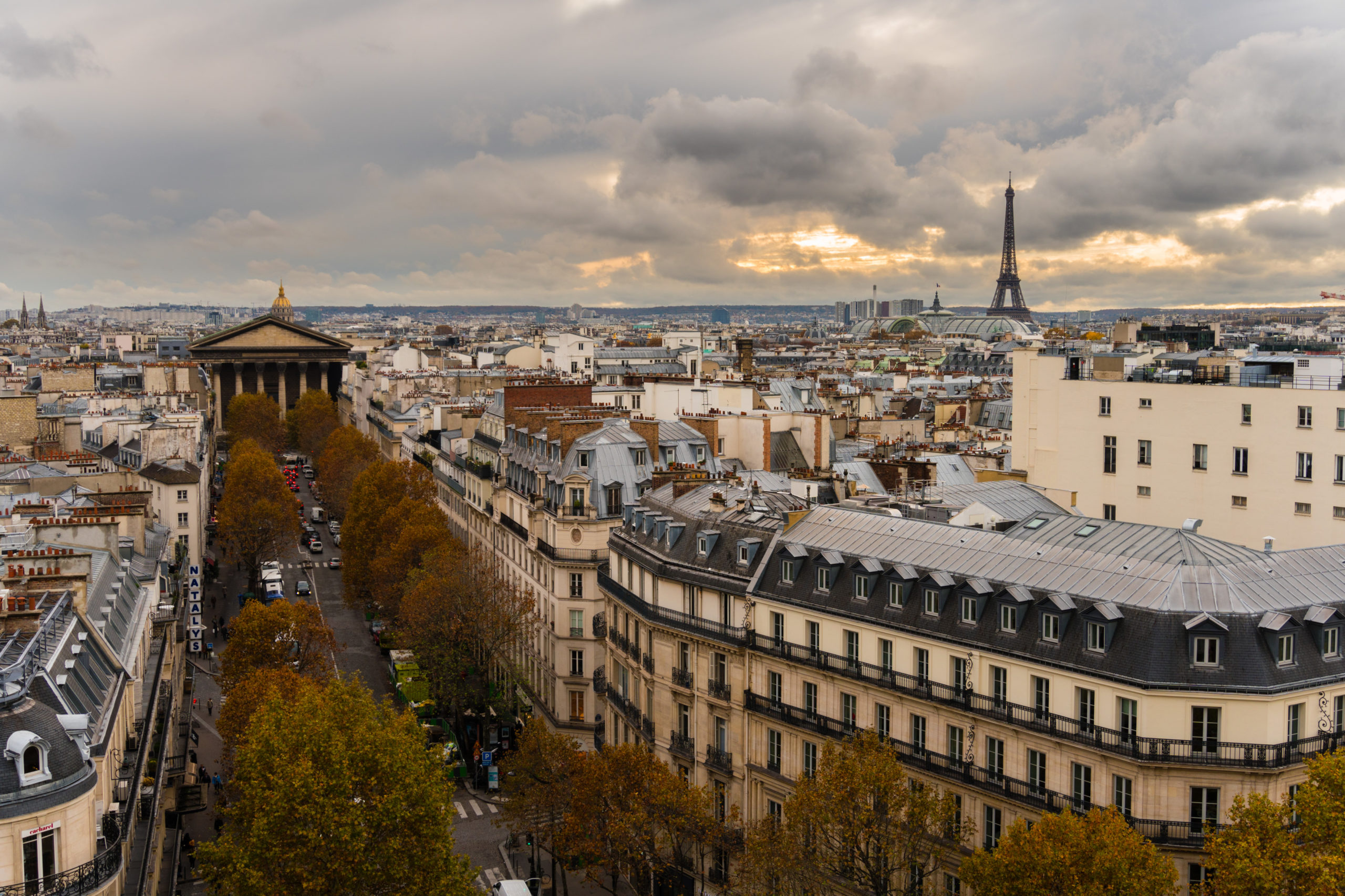Read more about the article Paris College of Art