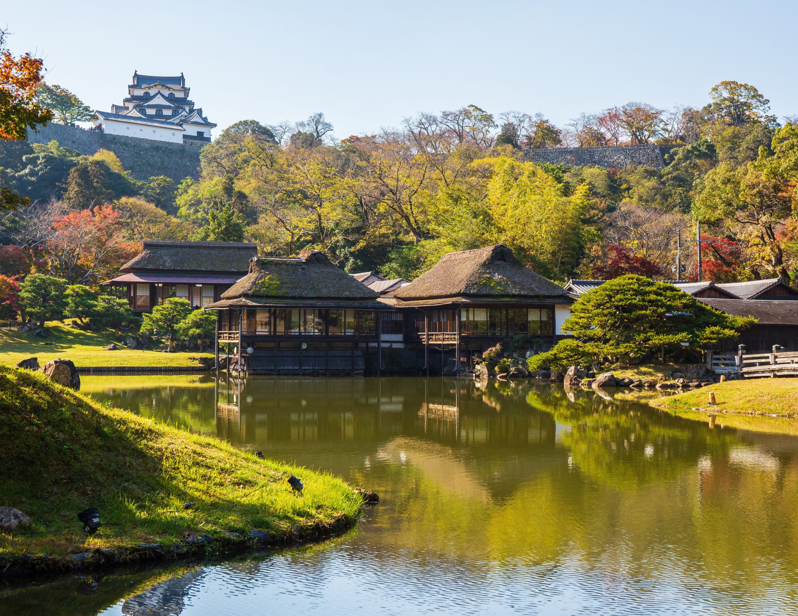 Read more about the article Japanese Language and Culture