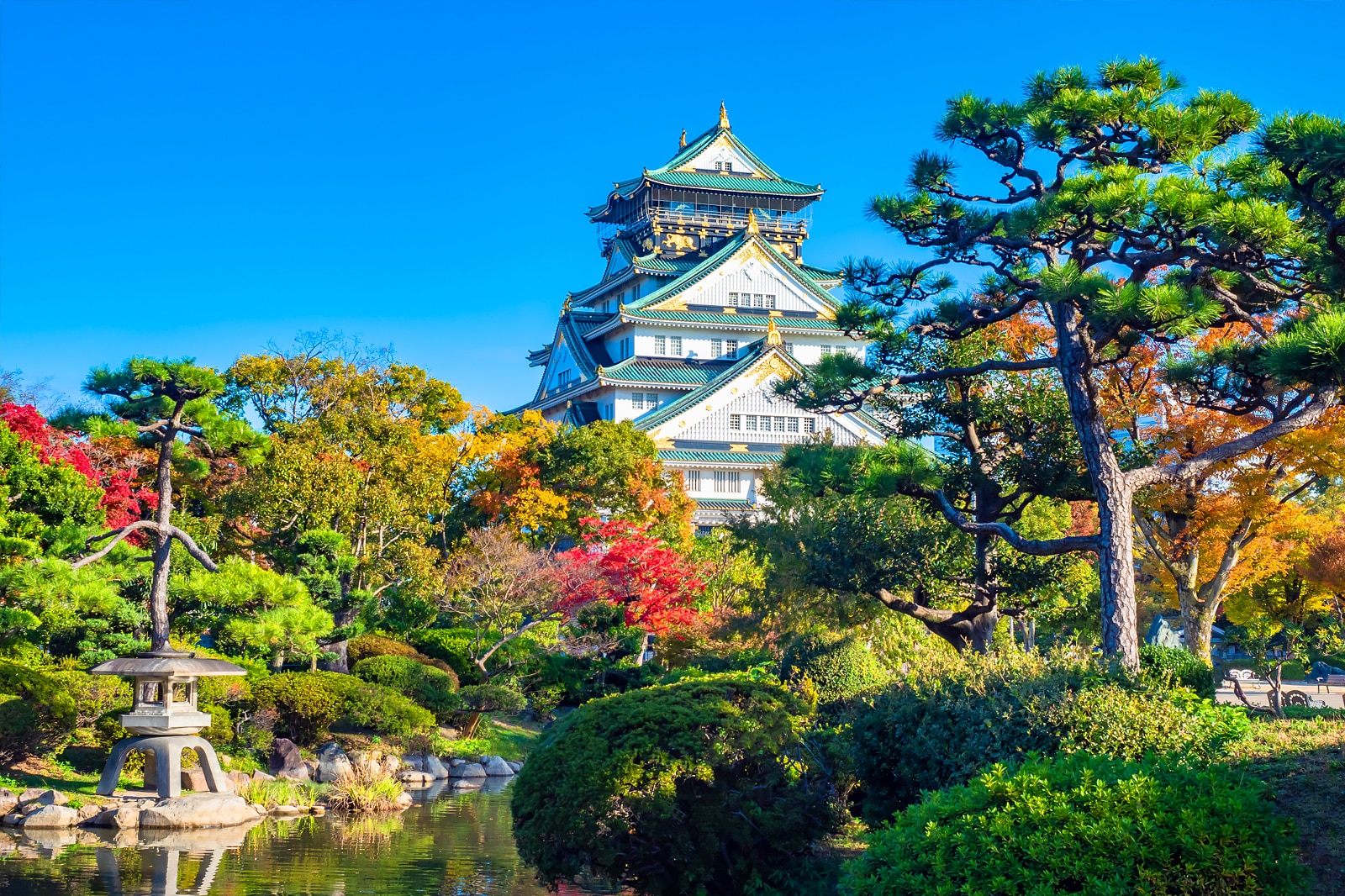 Read more about the article Internships in Kansai Region