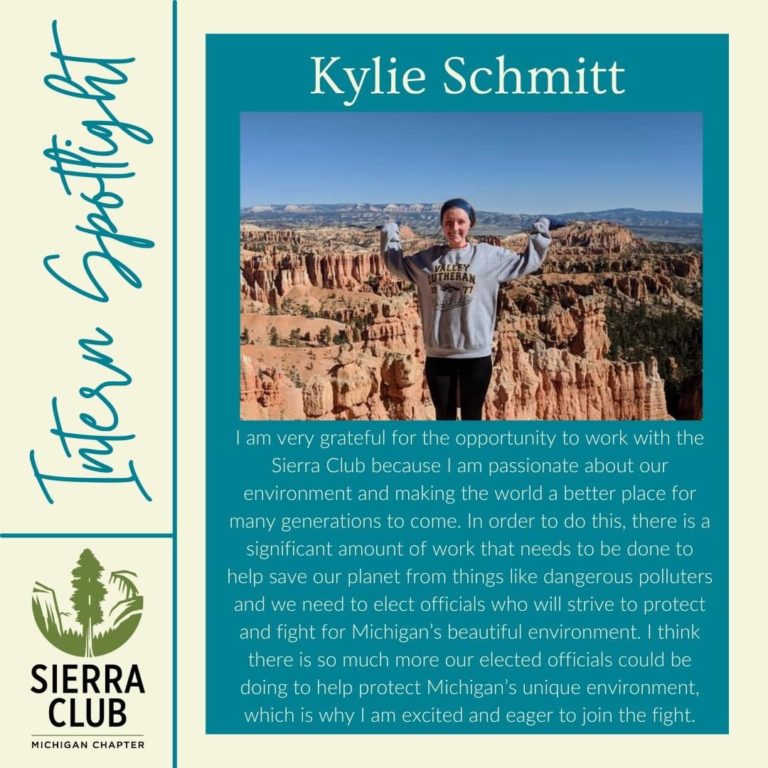 Read more about the article Kylie Schmitt