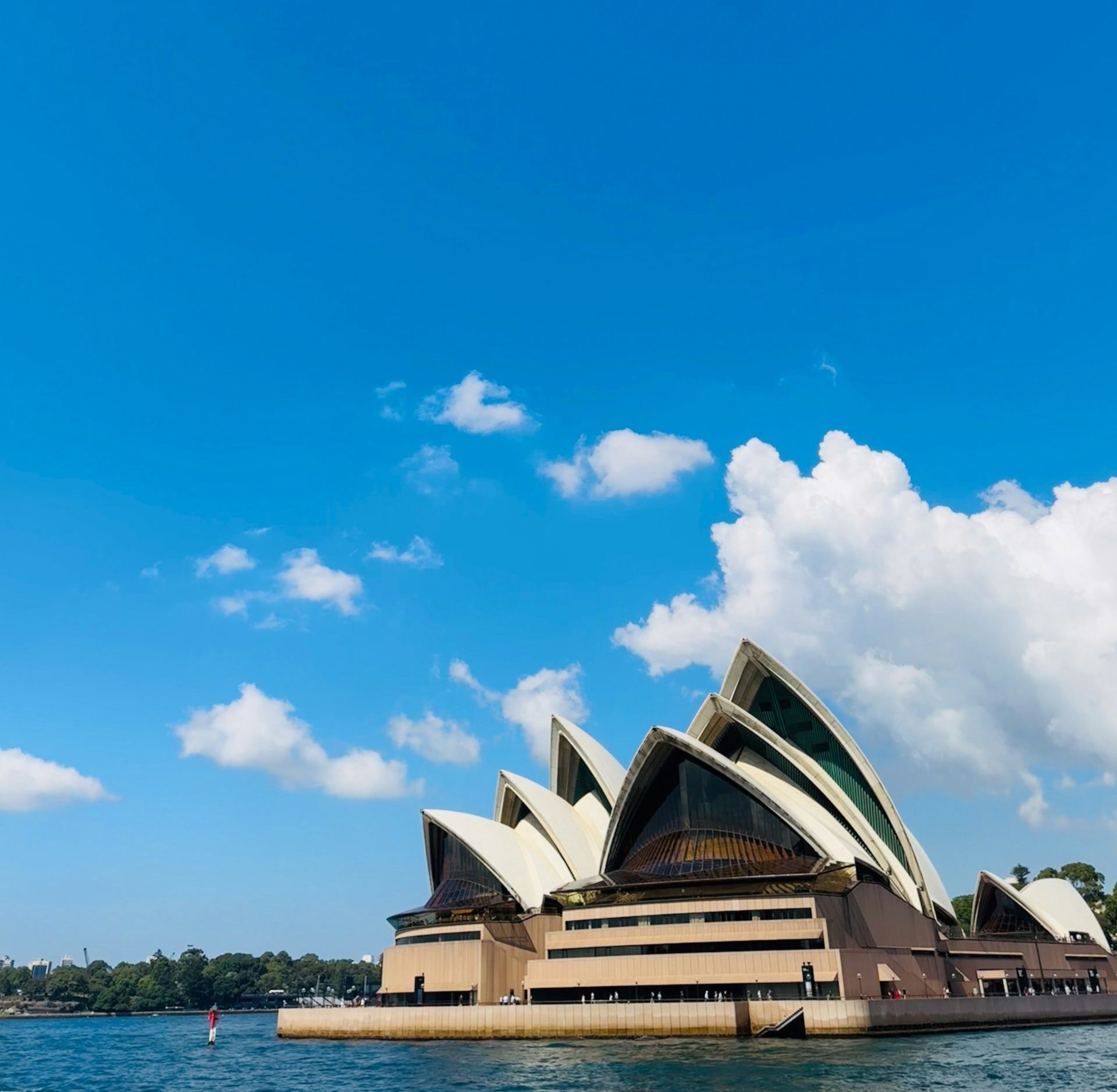 Read more about the article Internship + Study in Sydney with CEA CAPA